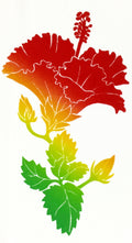 Janet Holaday Kitchen Towel