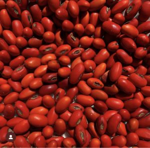Hawaii Island Seed Company