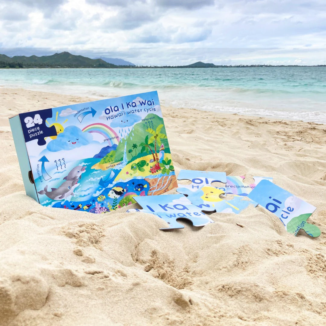 Hawai'i Water Cycle Puzzle