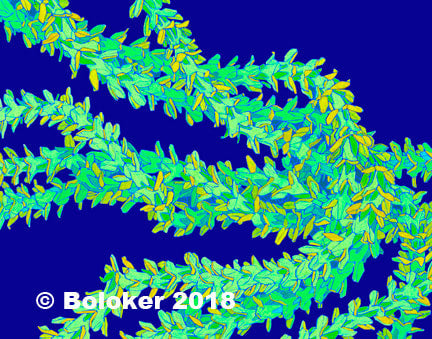 Judd Boloker 161 Pakalana Strands Small Print 11x14"