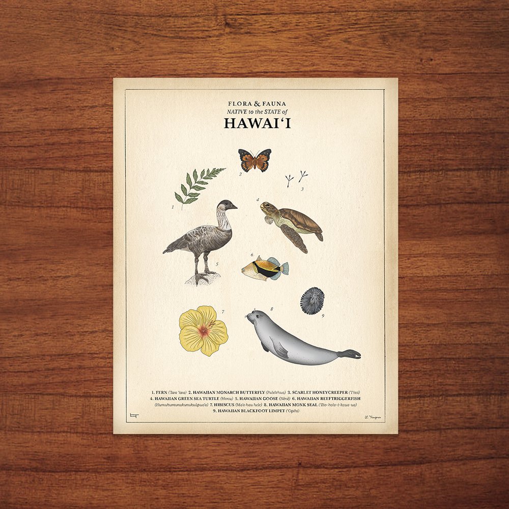 Lauren Trangmar 11x14" Flora & Fauna Native to the State of Hawaii