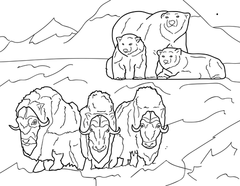 Pop-Up Mākeke - Advance Wildlife Education - North America Wildlife Educational Coloring Book