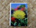 Pop-Up Mākeke - Alohi Images Maui - Hau‘oli Lā Hānau (Happy Birthday) Greeting Card - ‘Ōhi‘a mamo - Front View