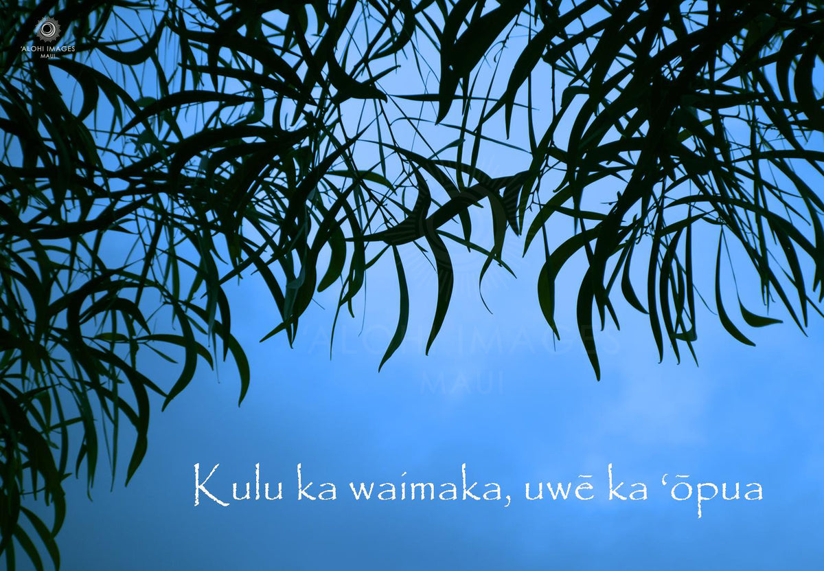 Koa Sympathy Greeting Card